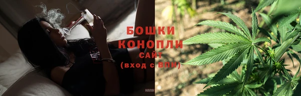 прущие крисы Новозыбков