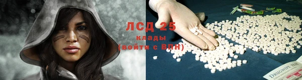 трава Нефтекумск