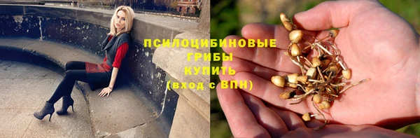 дурь Нея