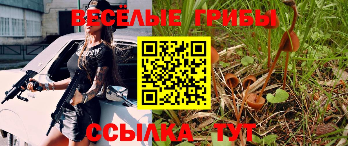 Псилоцибиновые грибы прущие грибы Отрадный
