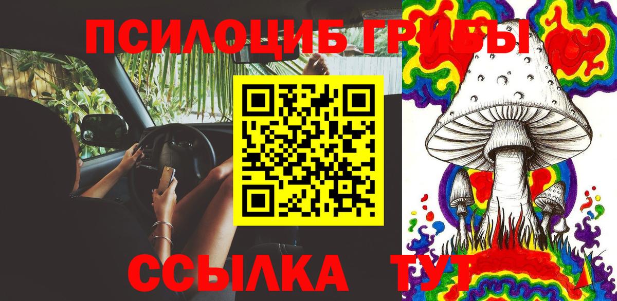 Отрадный  Псилоцибиновые грибы мухоморы  Вход с VPN 