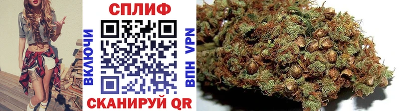 Бошки Шишки индика Отрадный